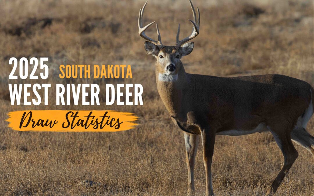 2025 South Dakota West River Deer Draw Statistics: What Hunters Need to Know