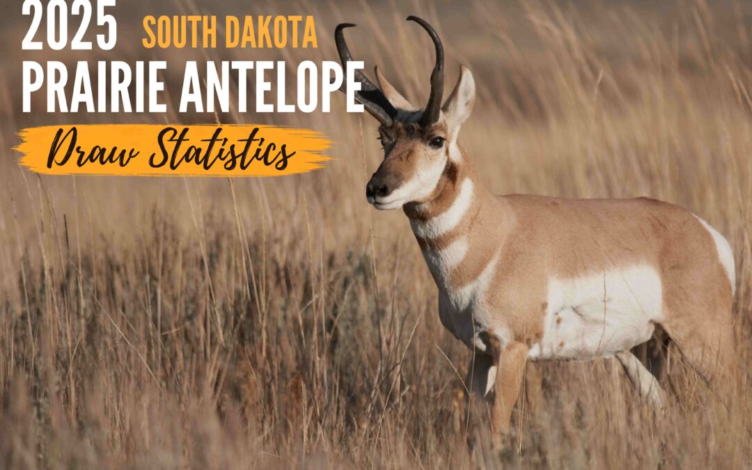 What the 2025 South Dakota Prairie Antelope Draw Statistics Tell Us