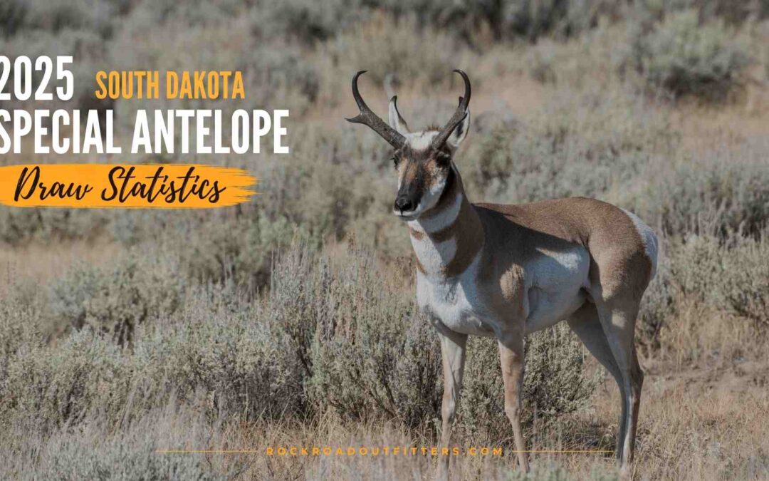 South Dakota Special Antelope Draw Odds for 2025: A Complete Breakdown