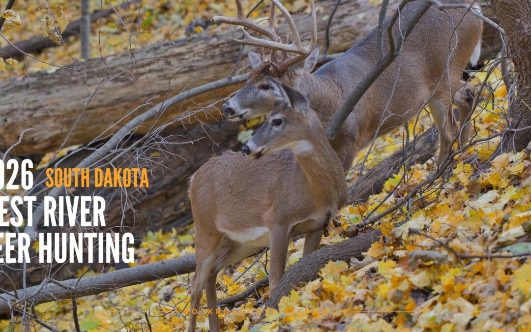 West River Deer Hunting in SouthDakota: What to Know Before Your Hunt